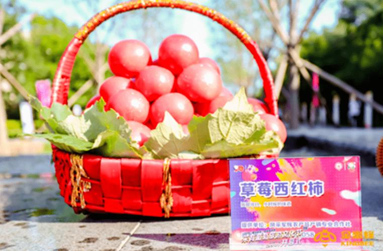 工厂生产线参观,diy体验(美食,辣白菜),餐饮,体验店购物,亲子活动接待